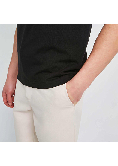 Футболка мужская Iwo