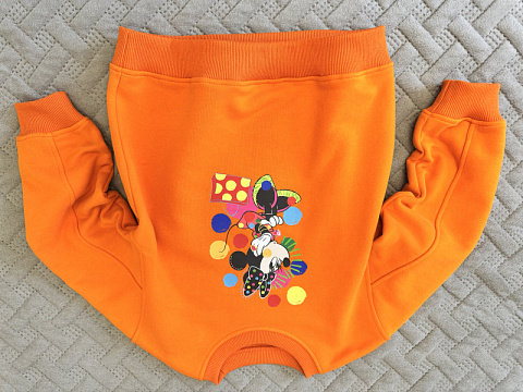 Свитшот Dambo